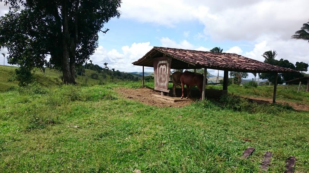 Hotel Fazenda Agua Branca Bonito  Kültér fotó