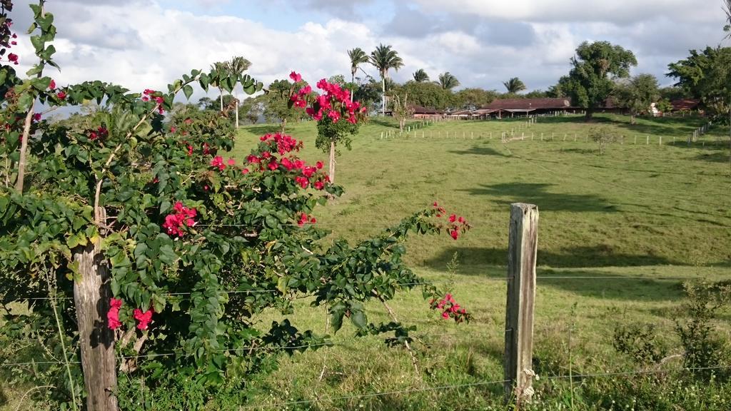Hotel Fazenda Agua Branca Bonito  Kültér fotó