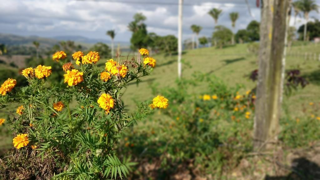 Hotel Fazenda Agua Branca Bonito  Kültér fotó